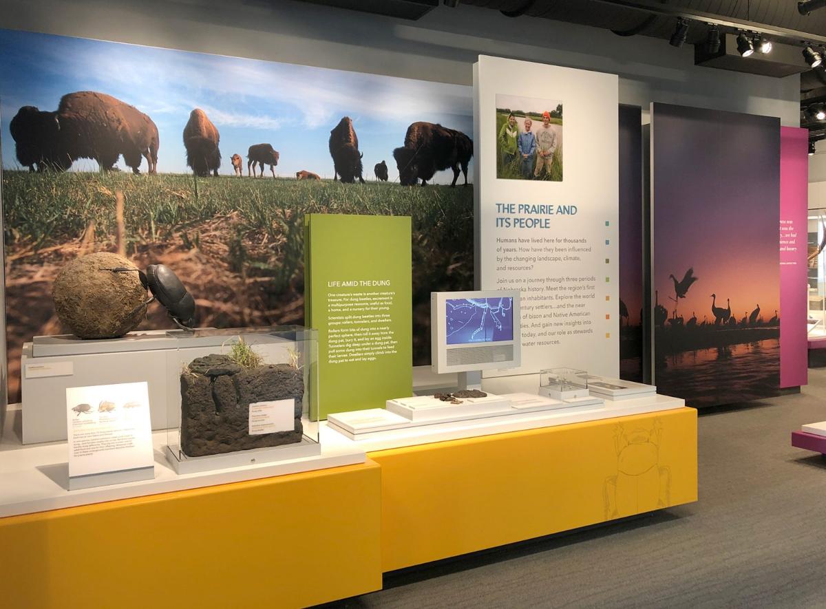 企業展廳設計效果2 企業展廳設計效果2