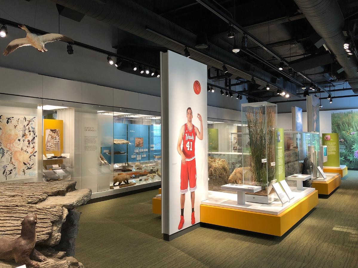 企業展廳設計效果3 企業展廳設計效果3