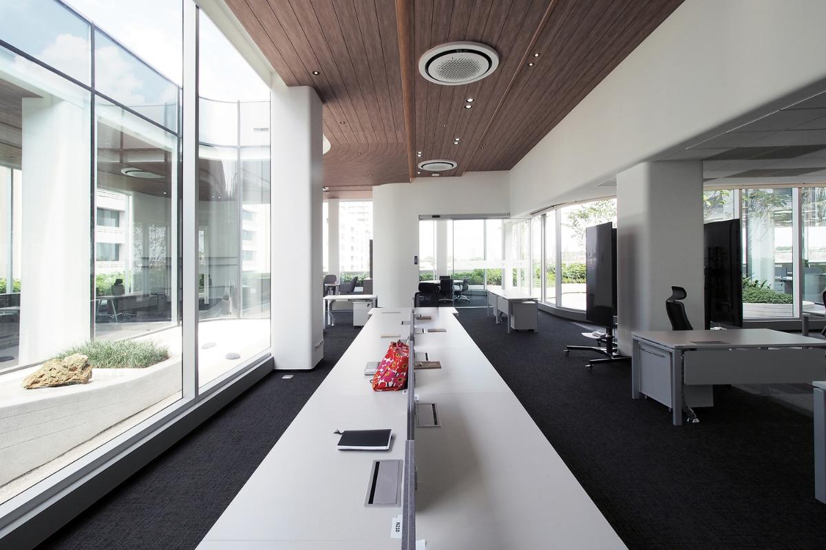 tmt-final-25.jpg tmt-final-25.jpg